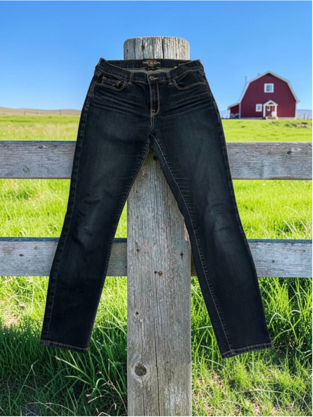 Lucky Brand Jeans Sofia Skinny Ankle Womens 6 Blue Low-Rise Distressed Denim